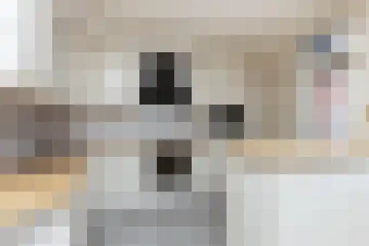 Nadirlaan 77 Hoogeveen thumbnail 7