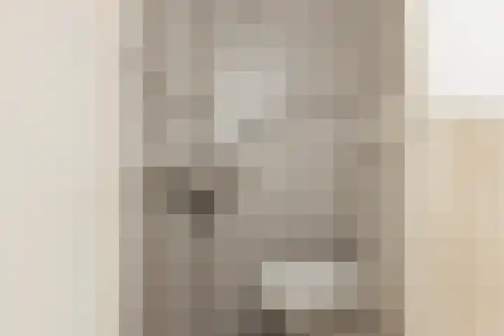 Nadirlaan 77 Hoogeveen thumbnail 8