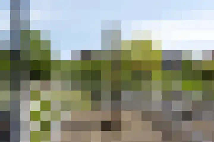 Nadorstweg 30 Middelburg thumbnail 23