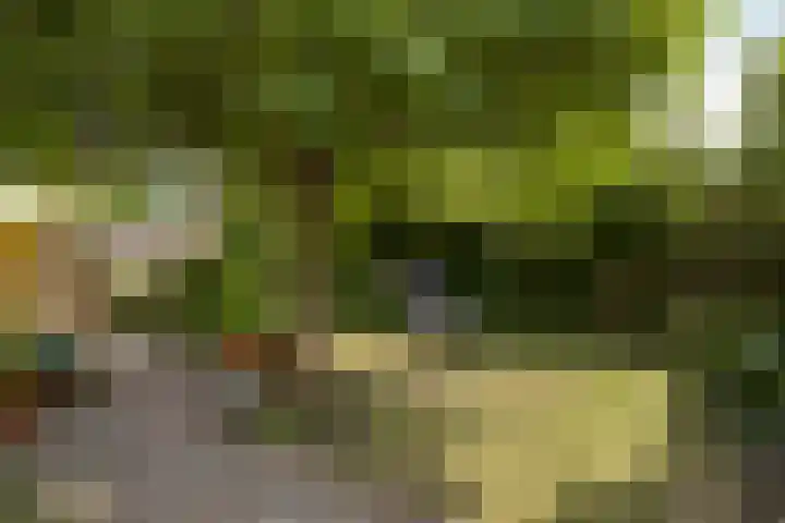 Nadorstweg 30 Middelburg thumbnail 33