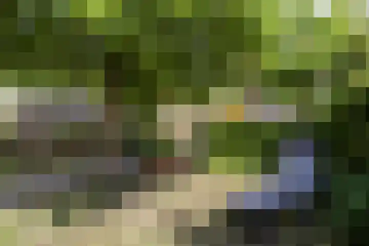 Nadorstweg 30 Middelburg thumbnail 34