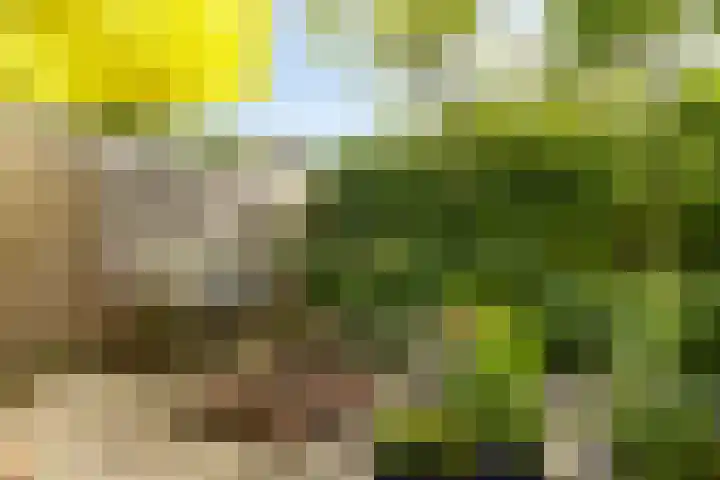 Nadorstweg 30 Middelburg thumbnail 36