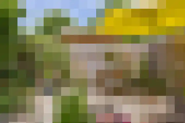 Nadorstweg 30 Middelburg thumbnail 37