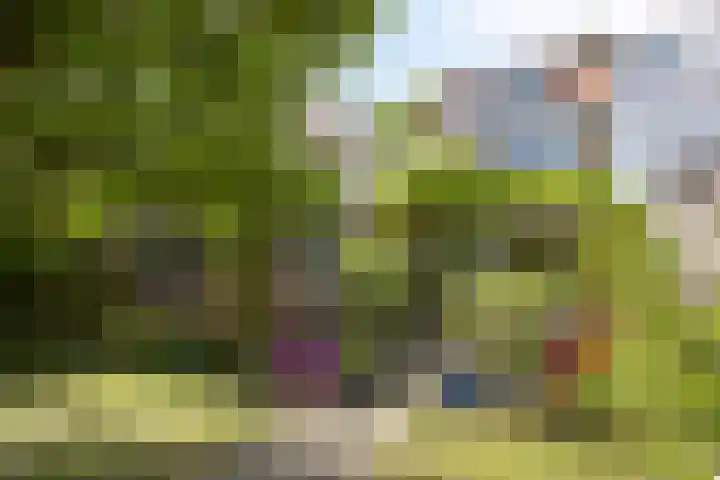 Nadorstweg 30 Middelburg thumbnail 38
