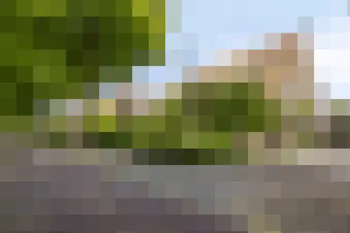 Nadorstweg 30 Middelburg thumbnail 39