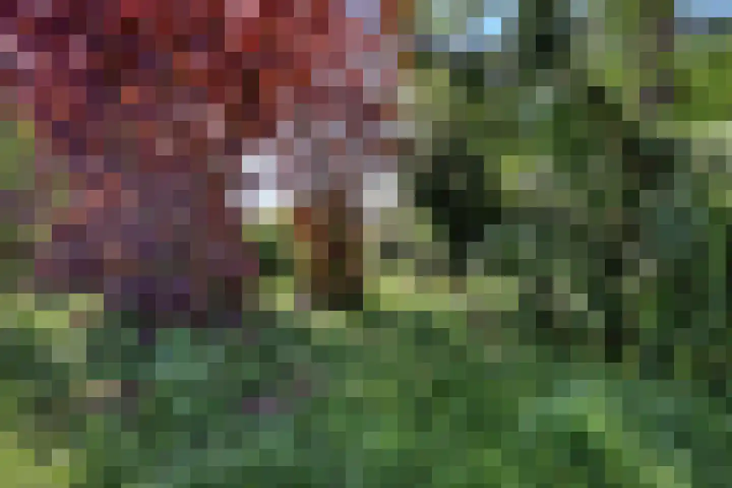 Nadorstweg 39 Middelburg thumbnail 42