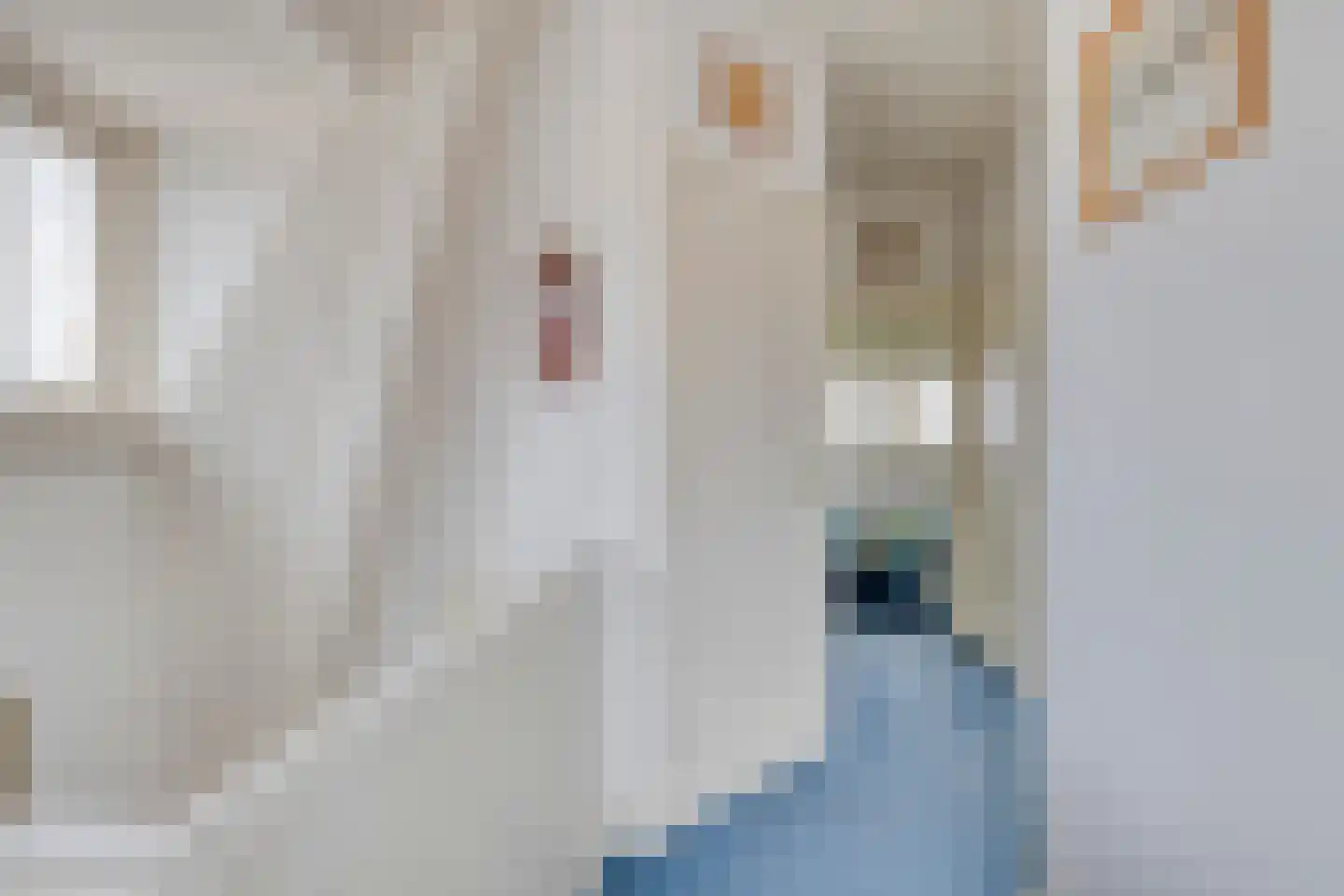 Nadorstweg 4 Middelburg thumbnail 20