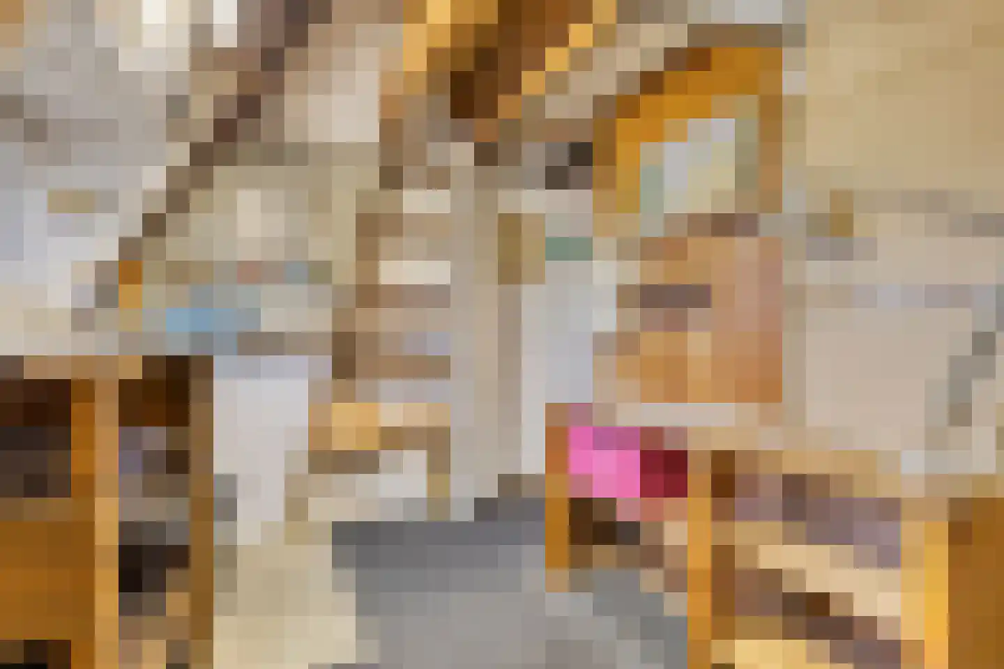 Nadorstweg 4 Middelburg thumbnail 36