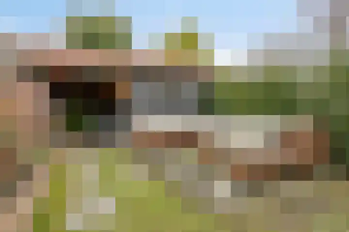 Nadorstweg 59 Middelburg thumbnail 45
