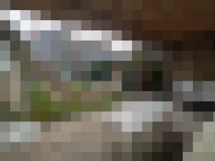 Nadorstweg 61 Middelburg thumbnail 39