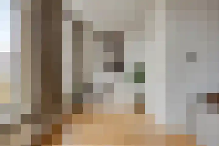 Naëll Tynnegieterstraat 31 Arnhem thumbnail 9