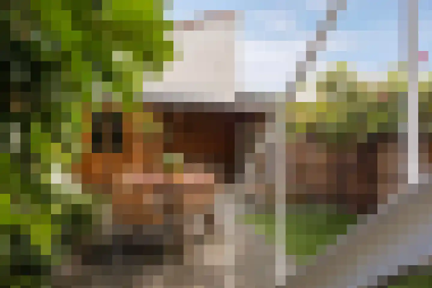 Naëll Tynnegieterstraat 56 Arnhem thumbnail 23