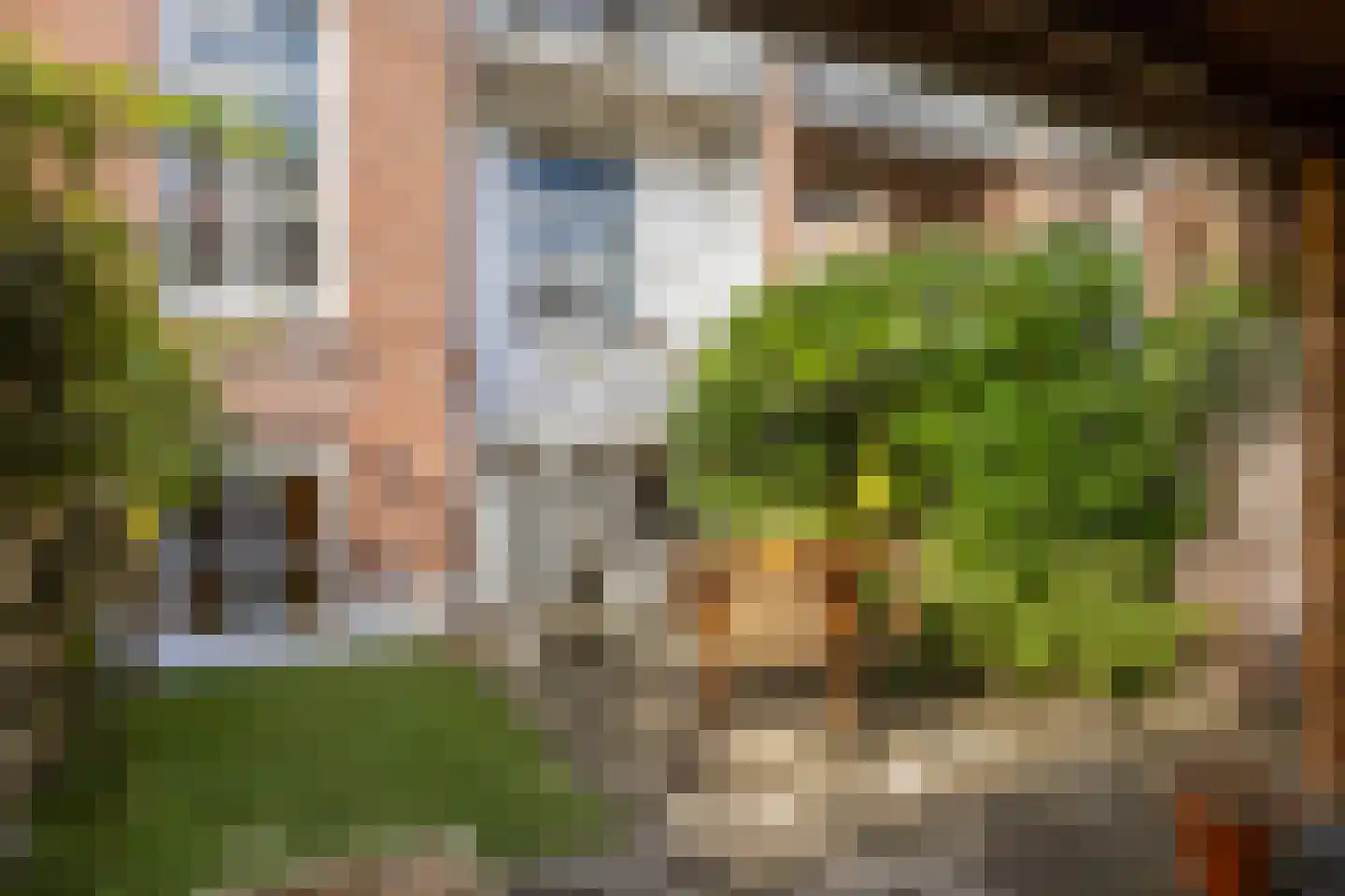 Naëll Tynnegieterstraat 56 Arnhem thumbnail 27