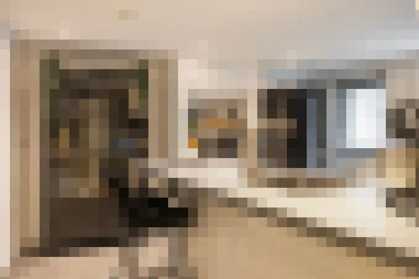 Naëll Tynnegieterstraat 56 Arnhem thumbnail 31