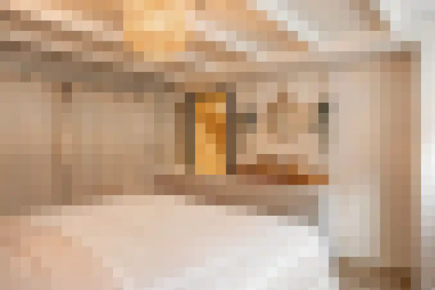 Naëll Tynnegieterstraat 56 Arnhem thumbnail 35