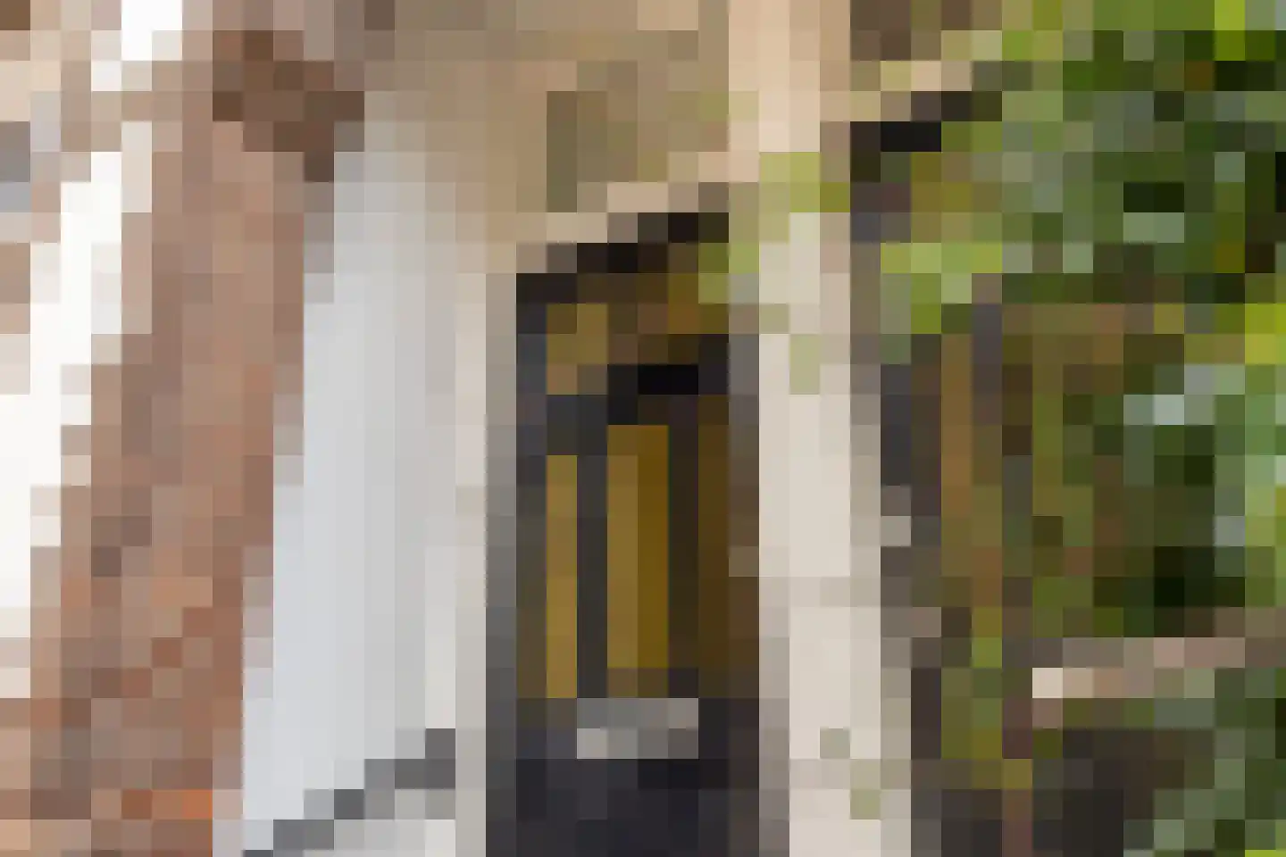 Naëll Tynnegieterstraat 56 Arnhem thumbnail 7