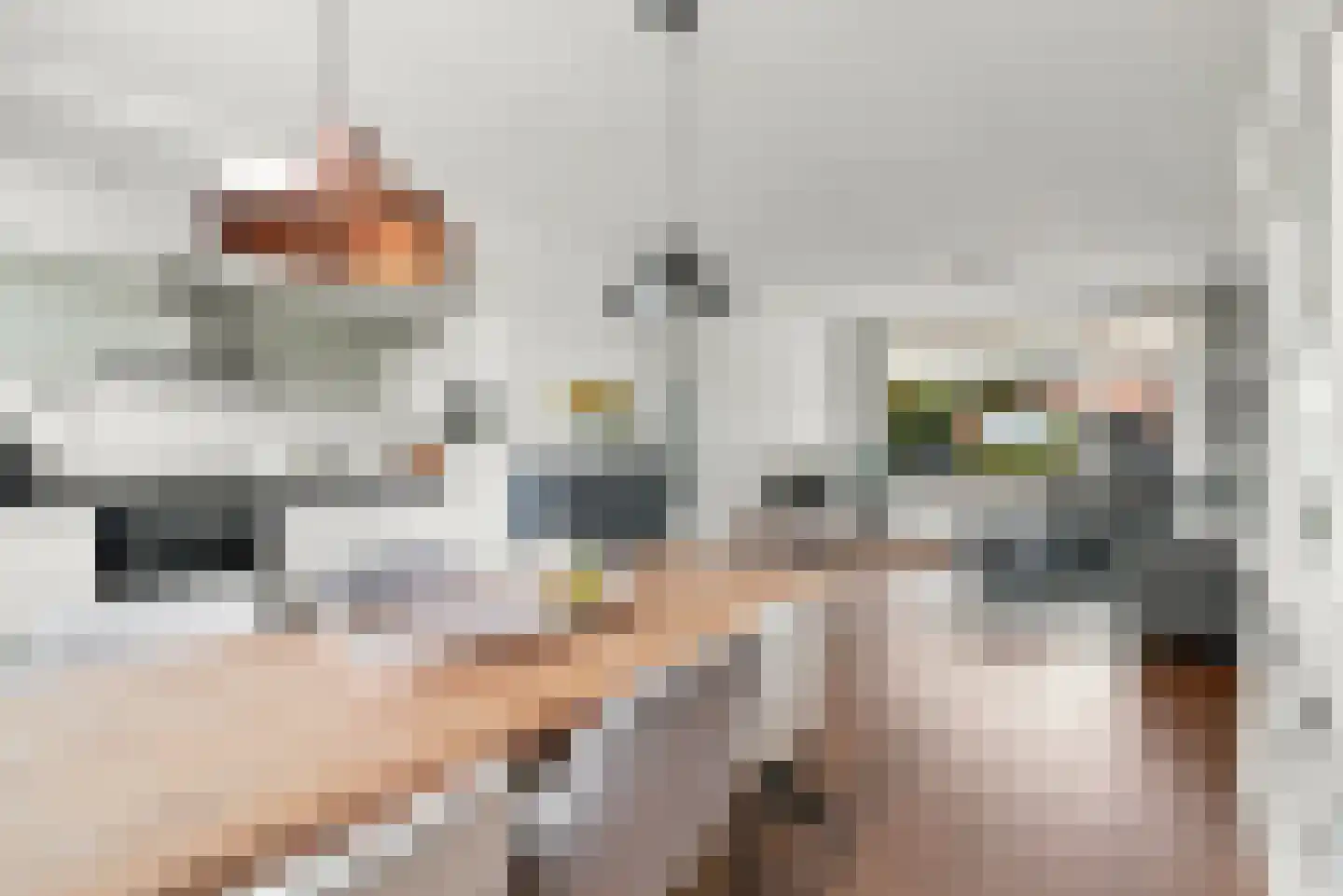 Naereboutstraat 10 Koudekerke thumbnail 13
