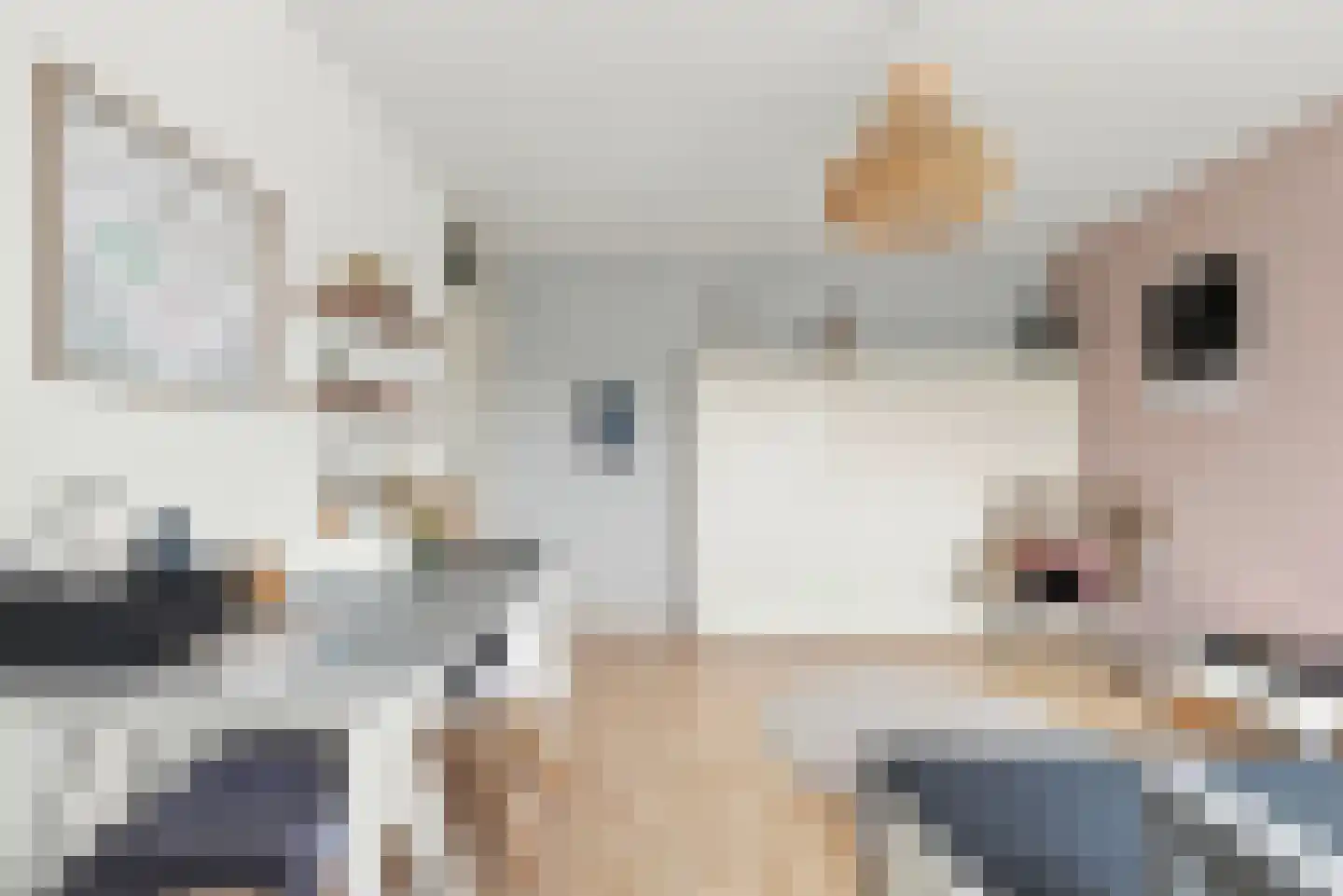 Naereboutstraat 10 Koudekerke thumbnail 20