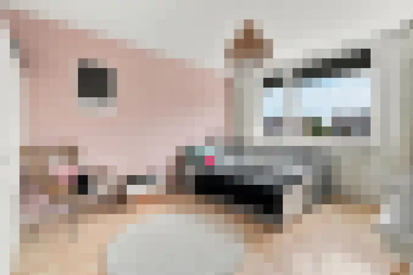 Naereboutstraat 10 Koudekerke thumbnail 21