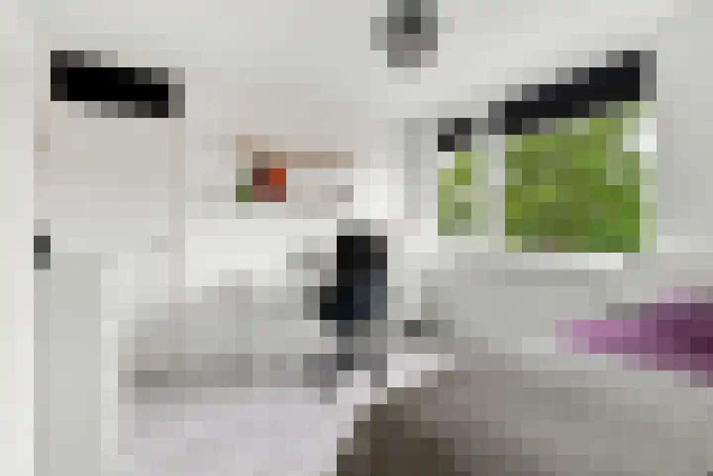 Naereboutstraat 10 Koudekerke thumbnail 22
