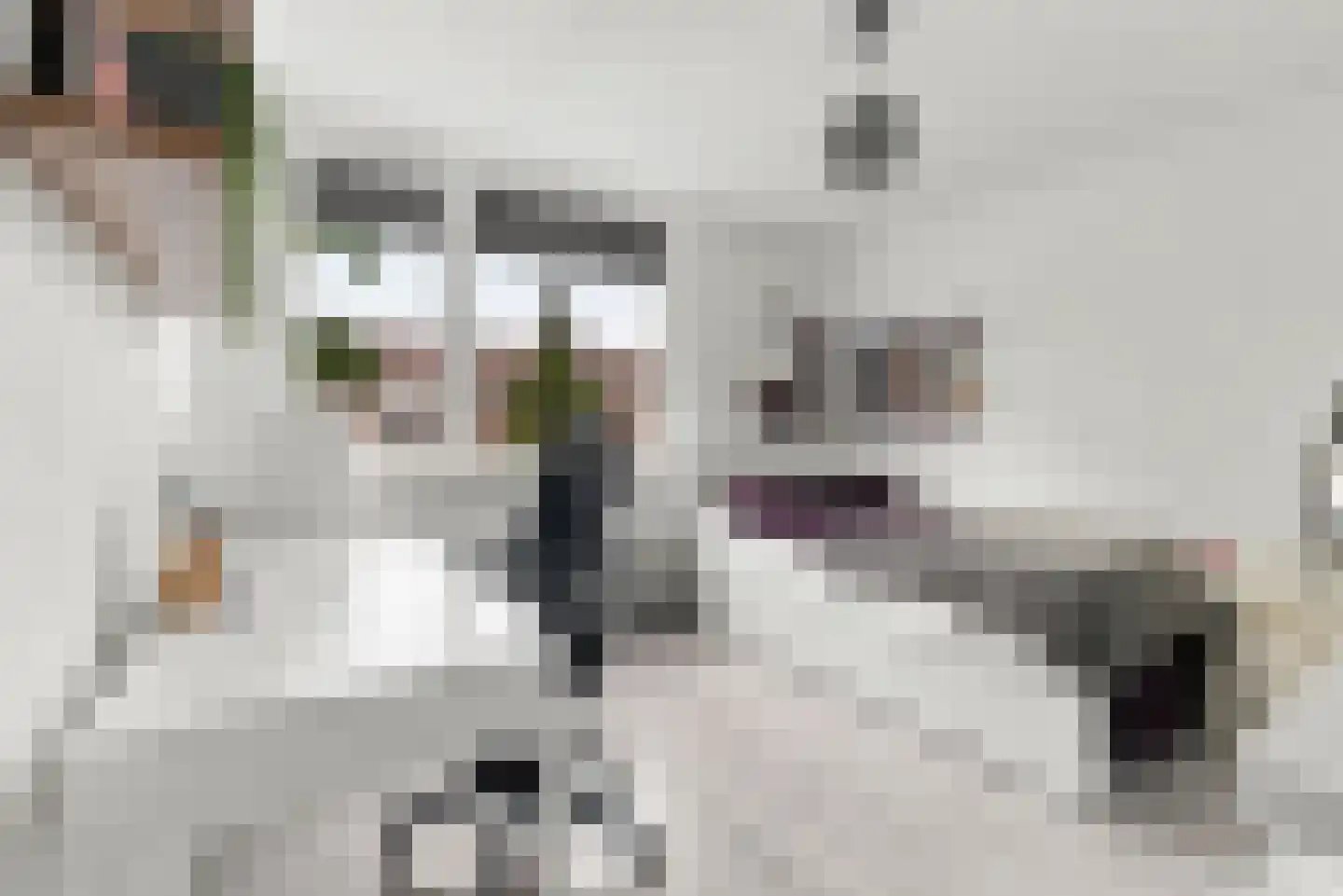 Naereboutstraat 10 Koudekerke thumbnail 23