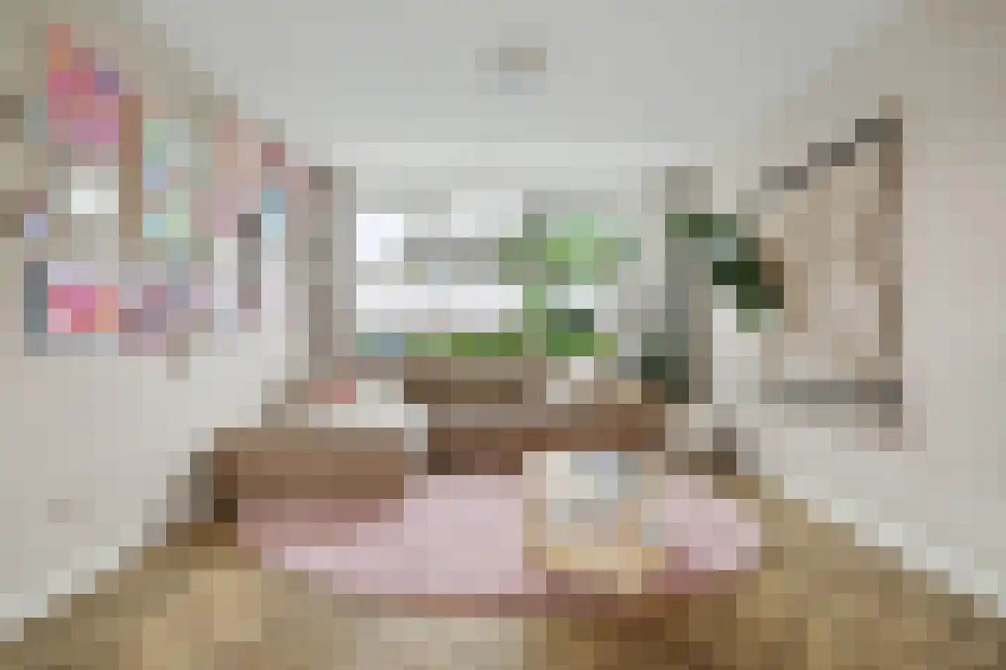 Naereboutstraat 11 Koudekerke thumbnail 11