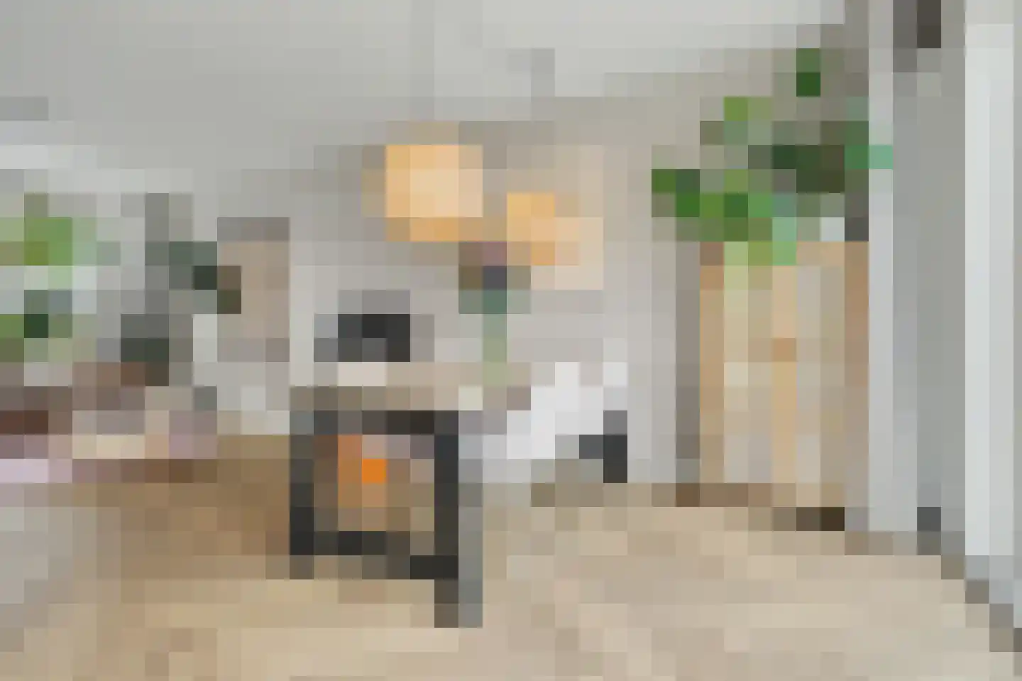 Naereboutstraat 11 Koudekerke thumbnail 17