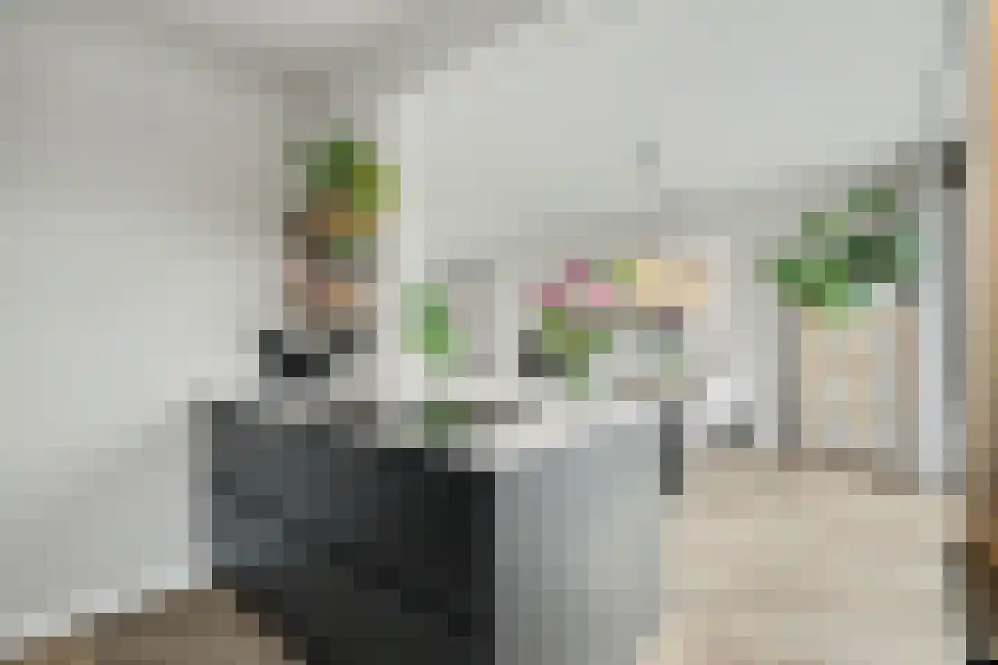 Naereboutstraat 11 Koudekerke thumbnail 22
