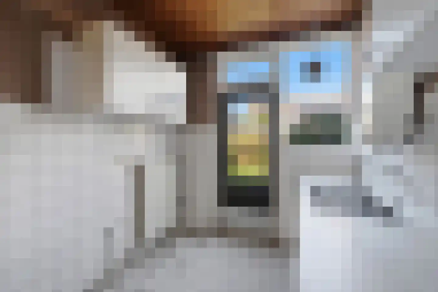 Naereboutstraat 23 Koudekerke thumbnail 10