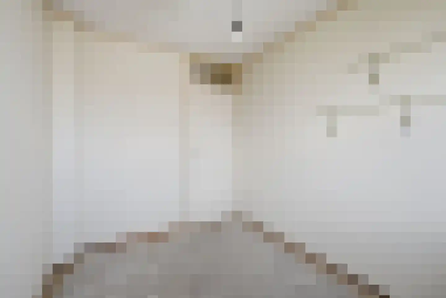 Naereboutstraat 23 Koudekerke thumbnail 19