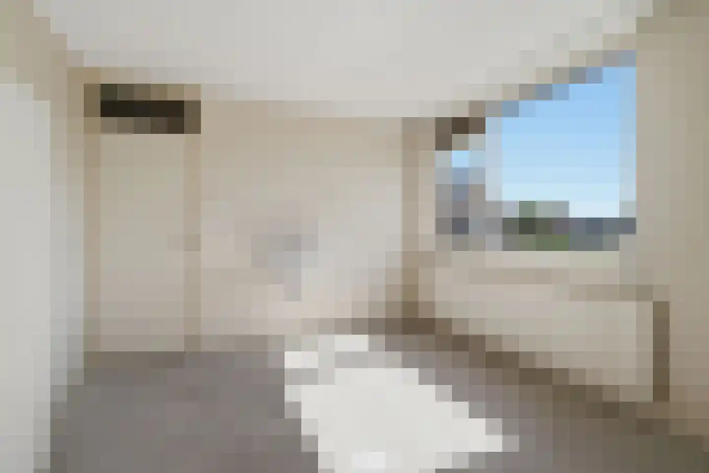 Naereboutstraat 23 Koudekerke thumbnail 22