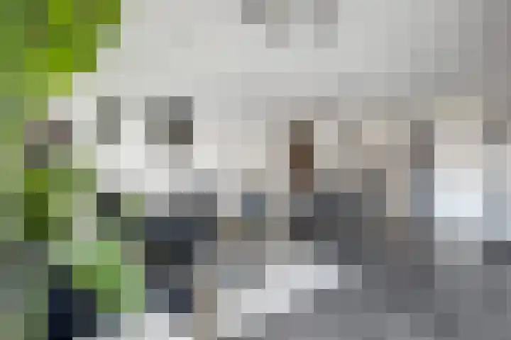 Naereboutstraat 41 Goes thumbnail 10