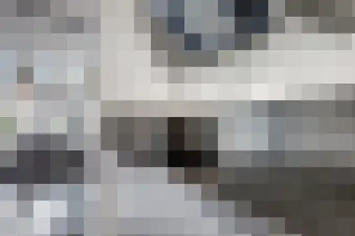 Naereboutstraat 41 Goes thumbnail 13