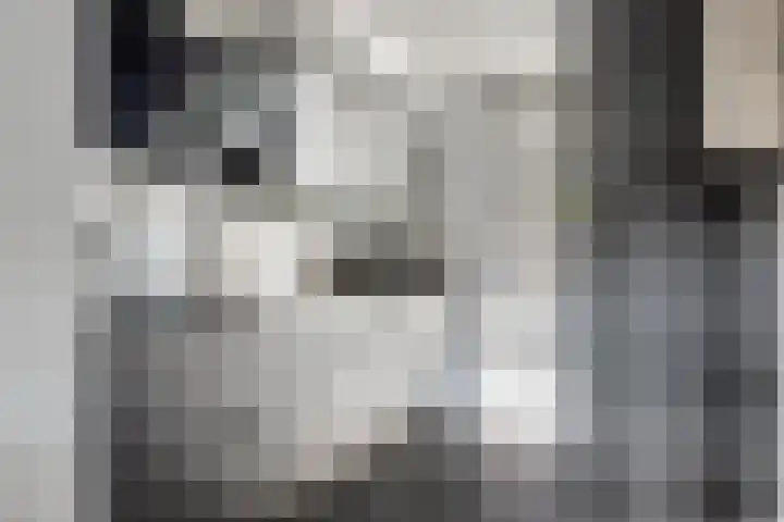 Naereboutstraat 41 Goes thumbnail 15