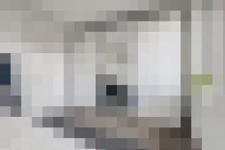 Naereboutstraat 41 Goes thumbnail 19