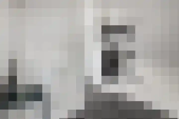 Naereboutstraat 41 Goes thumbnail 6