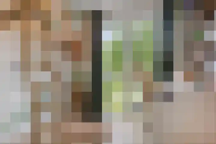 Naereboutstraat 42 Goes thumbnail 20