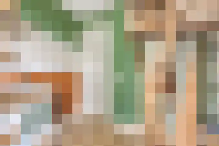 Naereboutstraat 42 Goes thumbnail 21