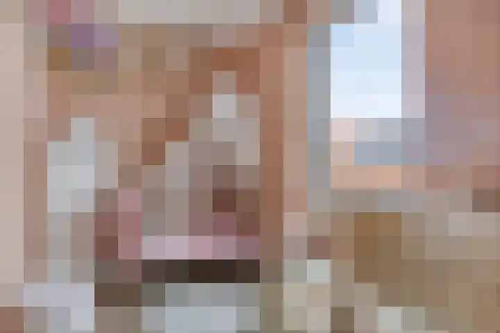 Naereboutstraat 42 Goes thumbnail 22