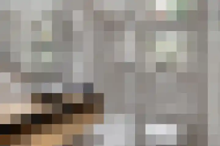 Naereboutstraat 42 Goes thumbnail 24