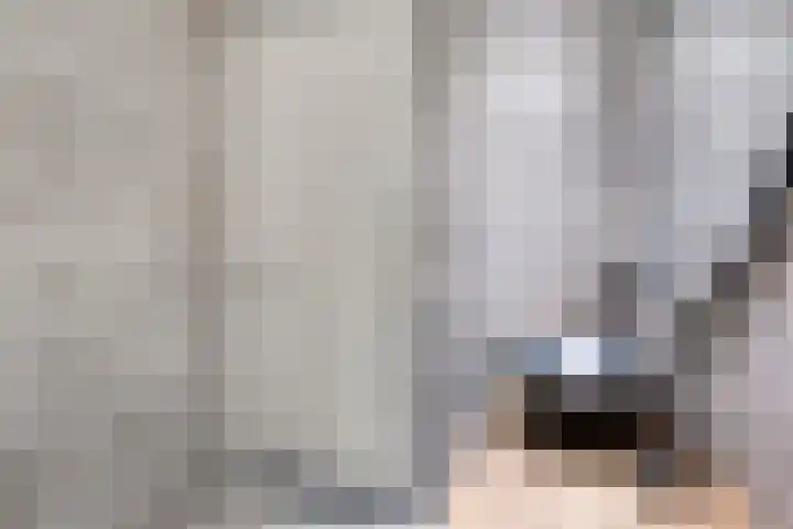 Naereboutstraat 42 Goes thumbnail 25