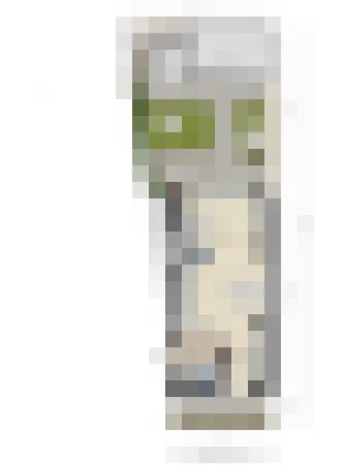 Naereboutstraat 42 Goes thumbnail 32