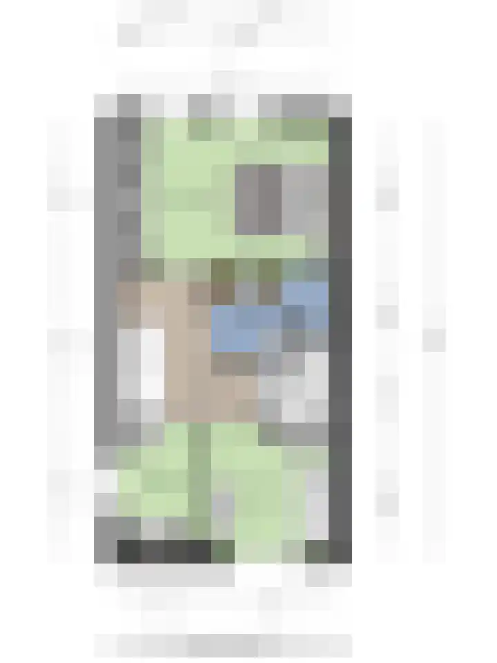 Naereboutstraat 42 Goes thumbnail 34