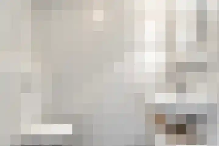 Naereboutstraat 51 Goes thumbnail 12