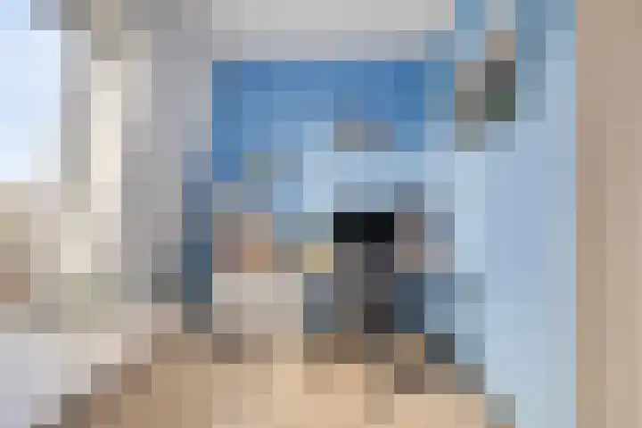 Naereboutstraat 51 Goes thumbnail 15