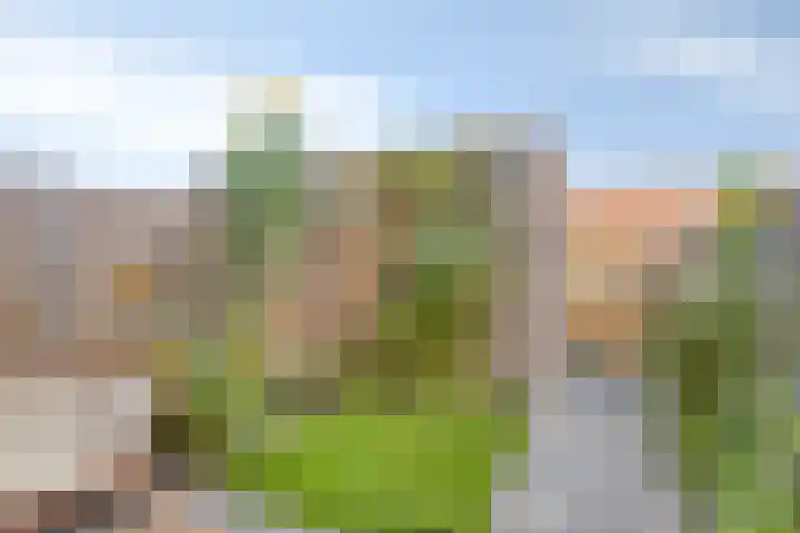 Naereboutstraat 51 Goes thumbnail 17