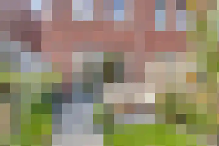 Naereboutstraat 51 Goes thumbnail 18