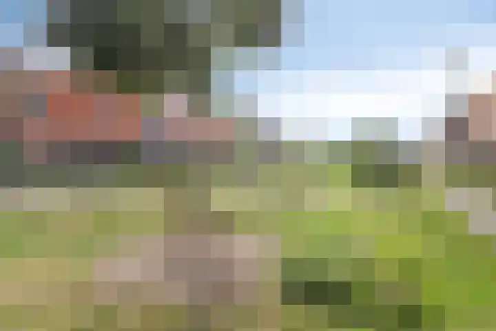Naereboutstraat 51 Goes thumbnail 19