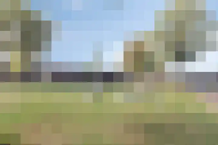 Naereboutstraat 51 Goes thumbnail 21