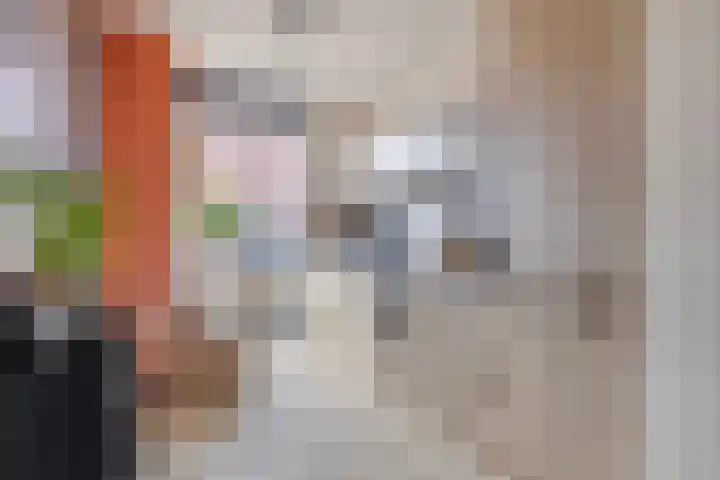 Naereboutstraat 51 Goes thumbnail 8